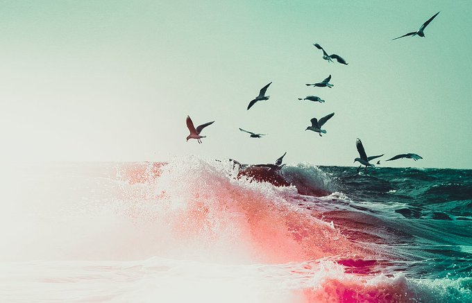 Aída Beatriz Sánchez tweet media