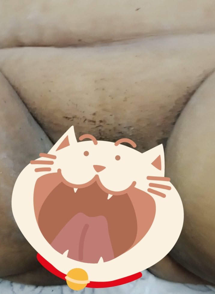 น้องส้ม&แซนดี้ tweet media