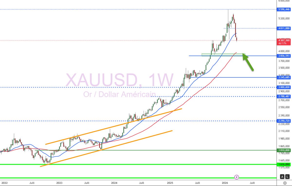 Xavier FENAUX tweet media