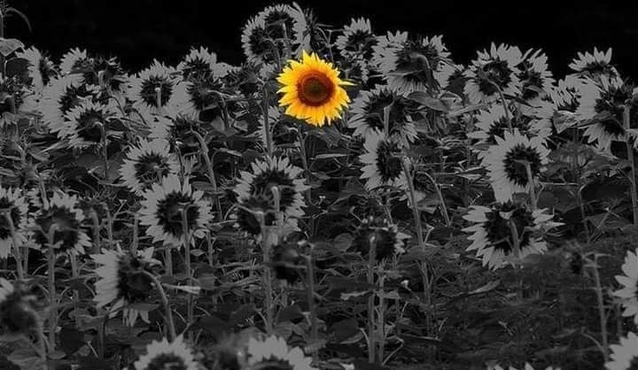 ROJBEYAN tweet media