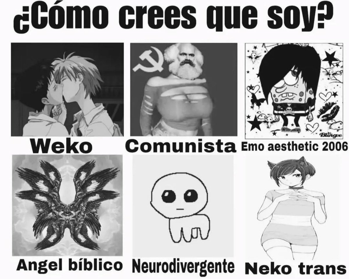 porcinitomagiko tweet media