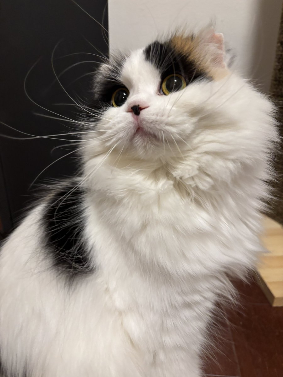 キムチ母‼️ tweet media