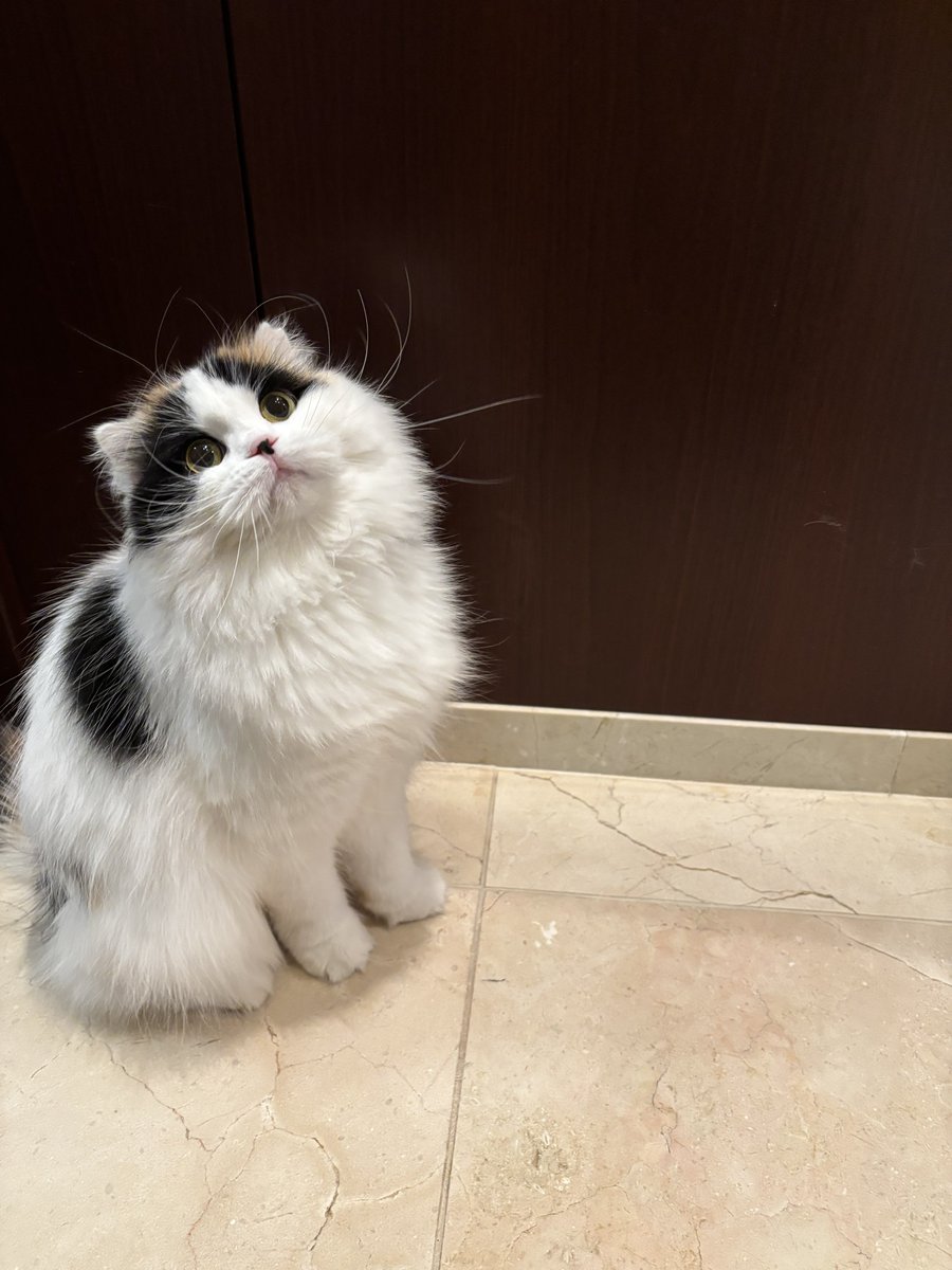 キムチ母‼️ tweet media