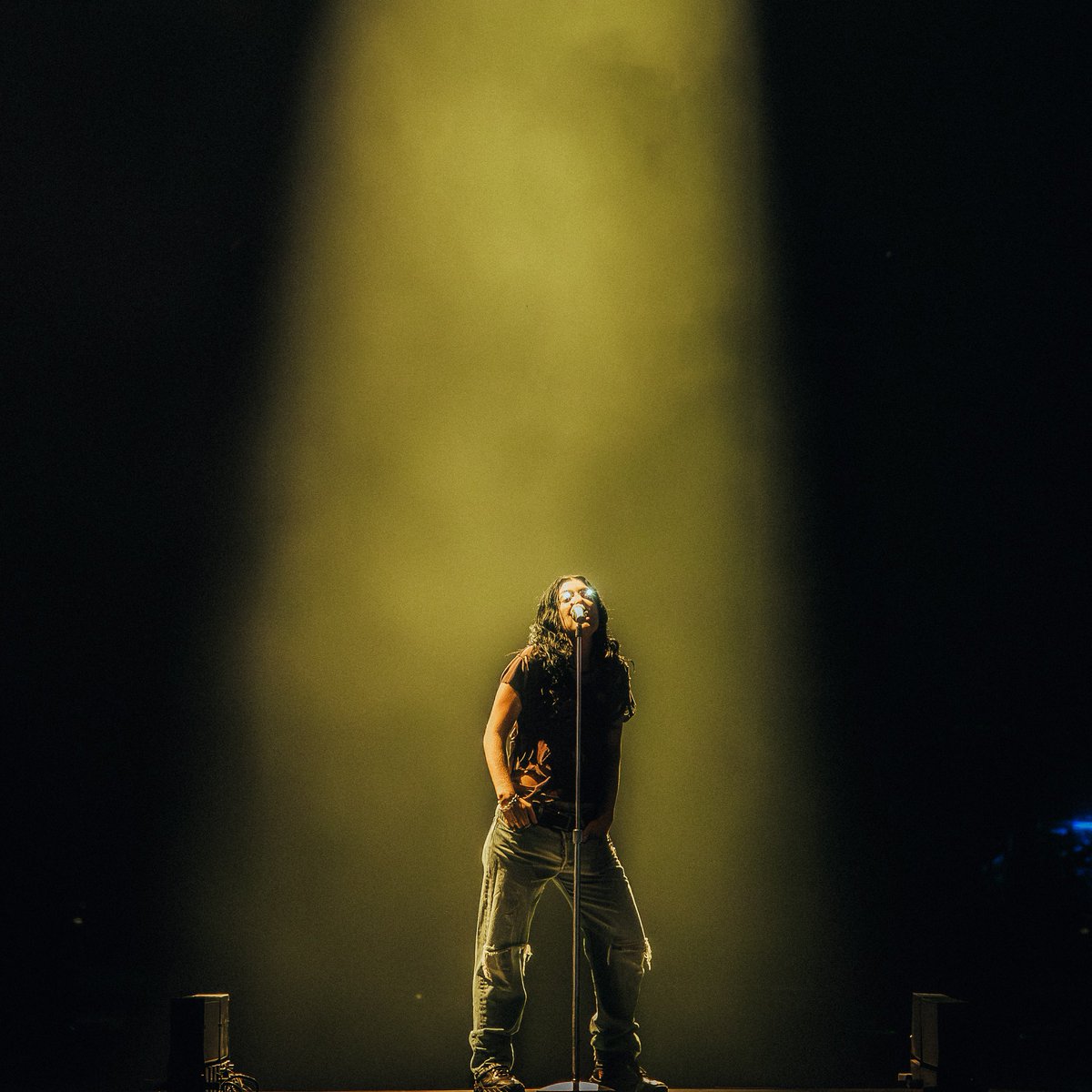"I'm waiting for it, that green light, I want it" 💚
<a href="/lorde/">Lorde</a>, estamos no mesmo time! #LollaBR