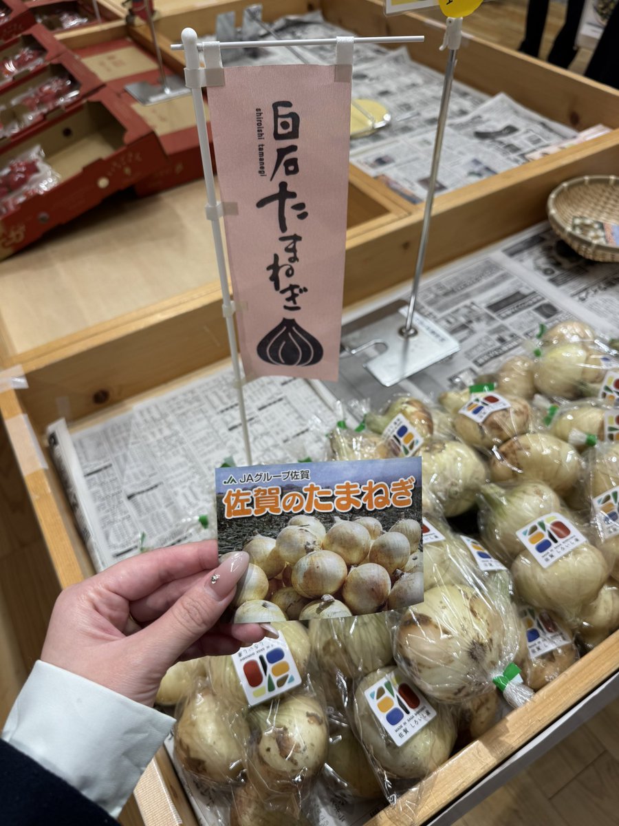 ロータスクラブ【公式】 tweet media