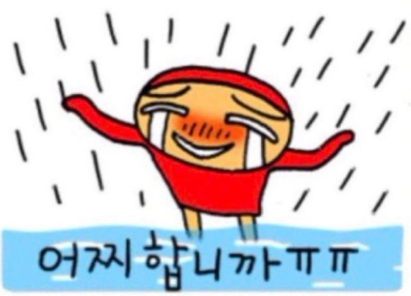 호얌 (🕯노두훈 ) tweet media