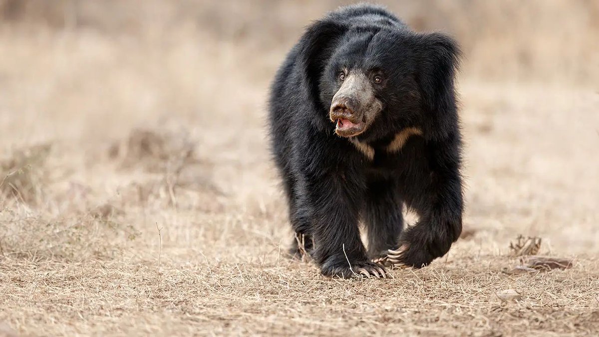 Bhupender Yadav tweet media