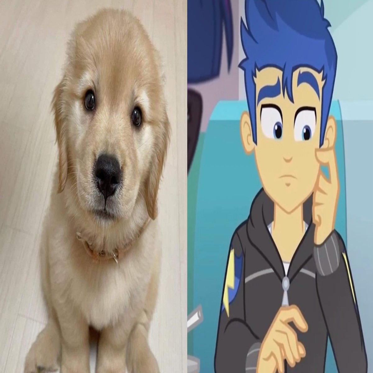 cisca 💗 tweet media