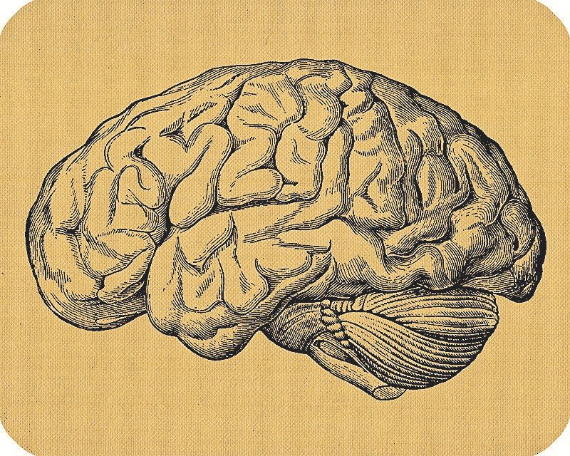 #͟ ͟𝗥͟𝗢͟𝗕͟𝗜͟𝗡͟𝗔͟𝗩͟𝗜͟𝗧͟𝗖͟𝗛͟ tweet media