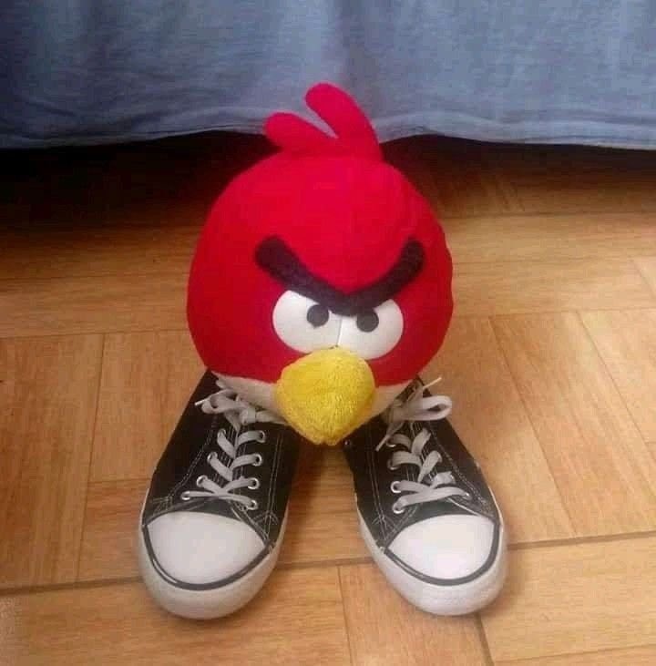 Angry Birds Network tweet media