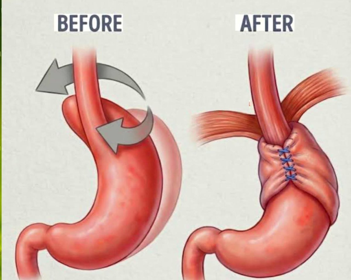 Dr Abdul Hameed 🩺 tweet media