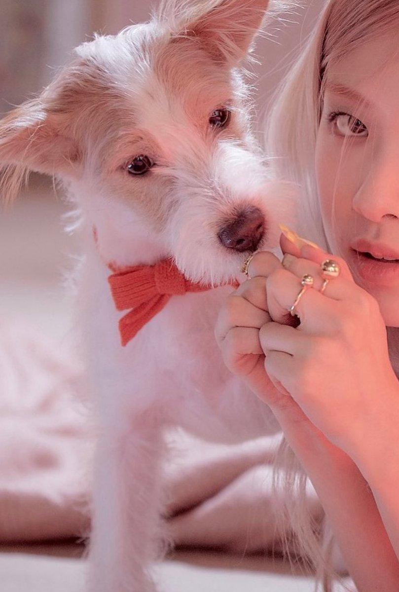 ꒰ა nat ໒꒱ tweet media