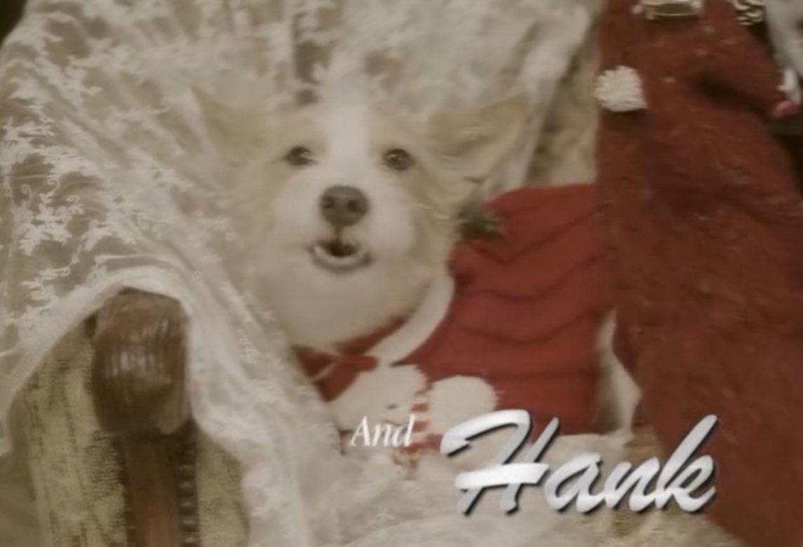 ꒰ა nat ໒꒱ tweet media