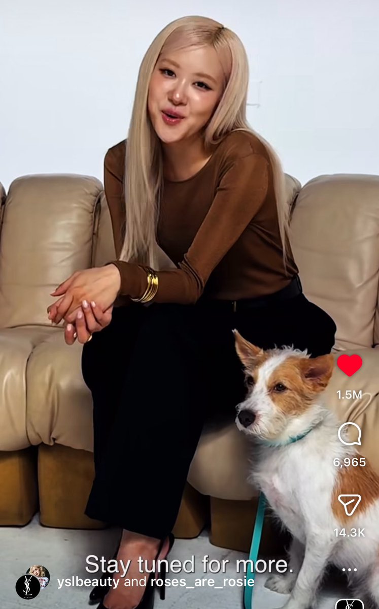 ꒰ა nat ໒꒱ tweet media