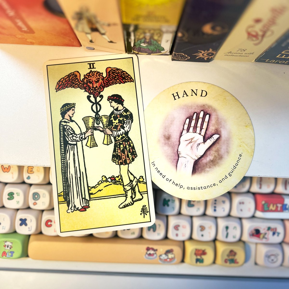 ⚡️นักเรียนหมอ * full time 🔥 tweet media