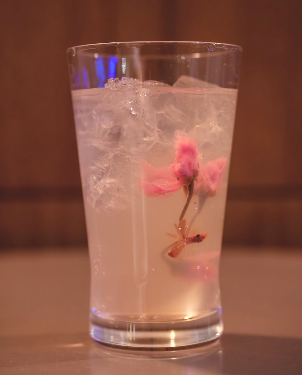 Dining 258 tweet media