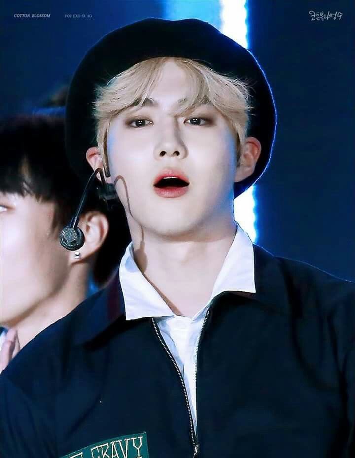 달구슬ʕ˶•-•˵ིྀʔ tweet media