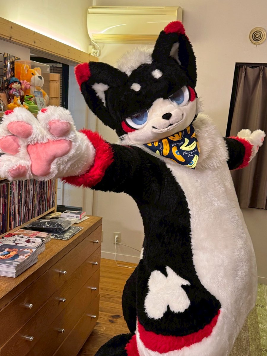 友達の家でバンダナ貸してもらったからちょっとおめかし！
#FursuitFriday