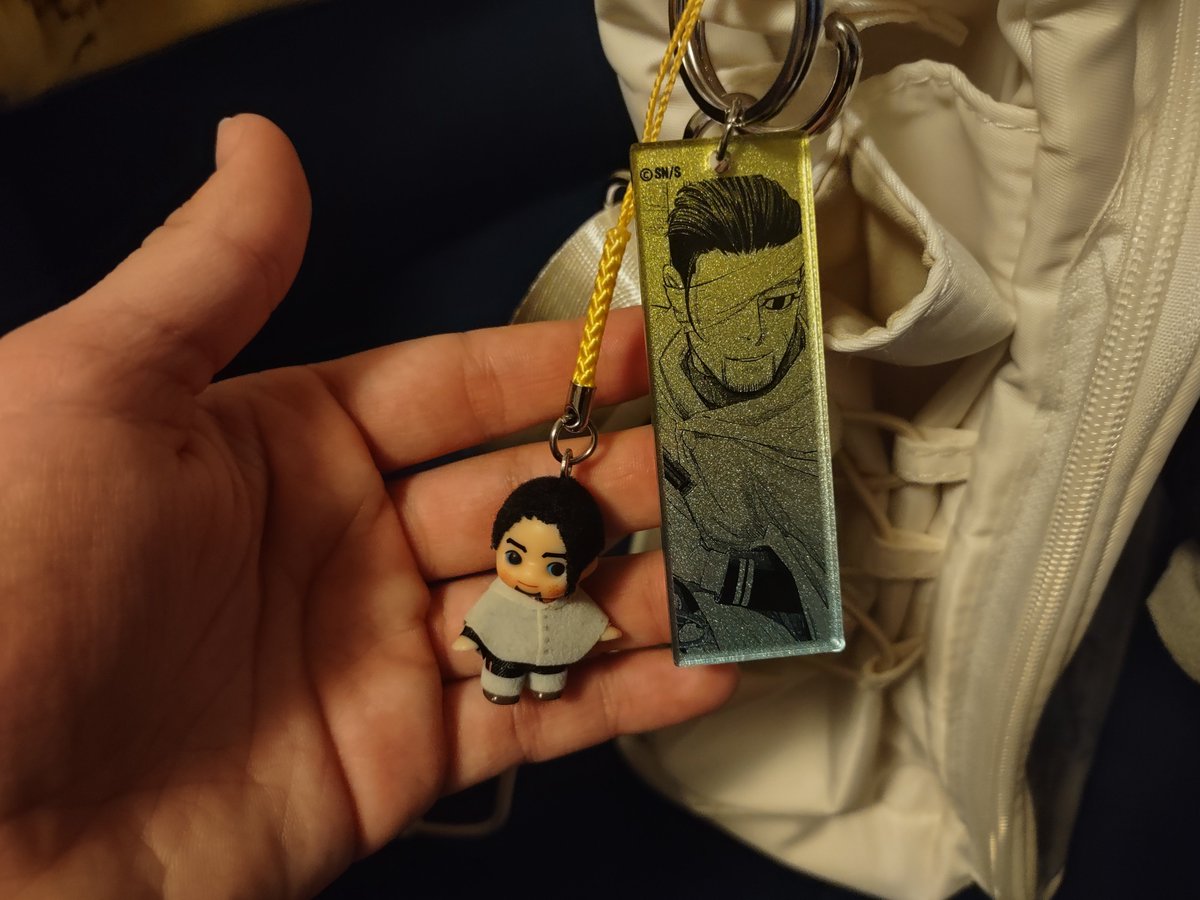 Update on the toxoplasmosis: