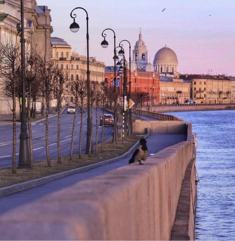 Невоструев Владимир tweet media