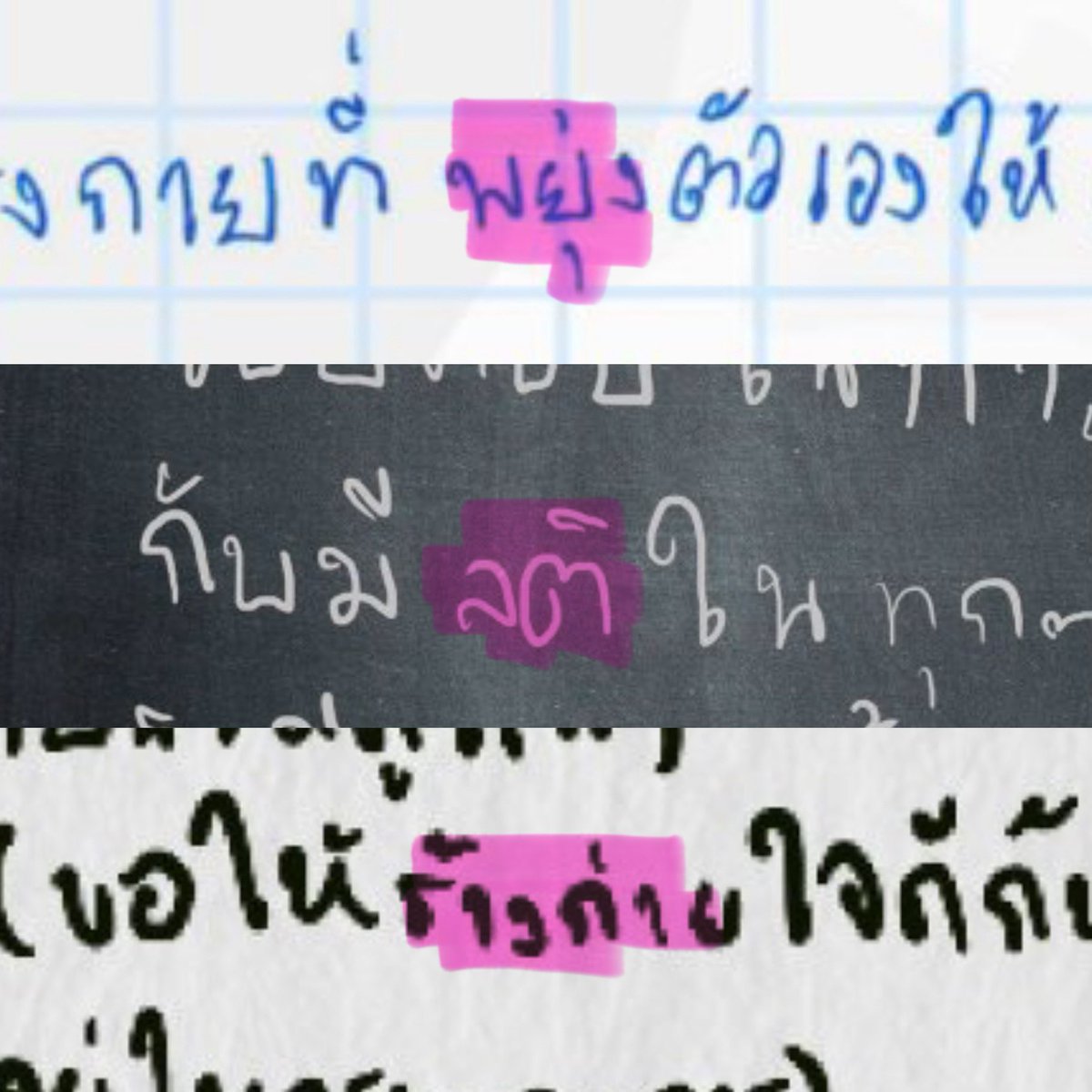 บีบีชอบกินซาลาเปา tweet media