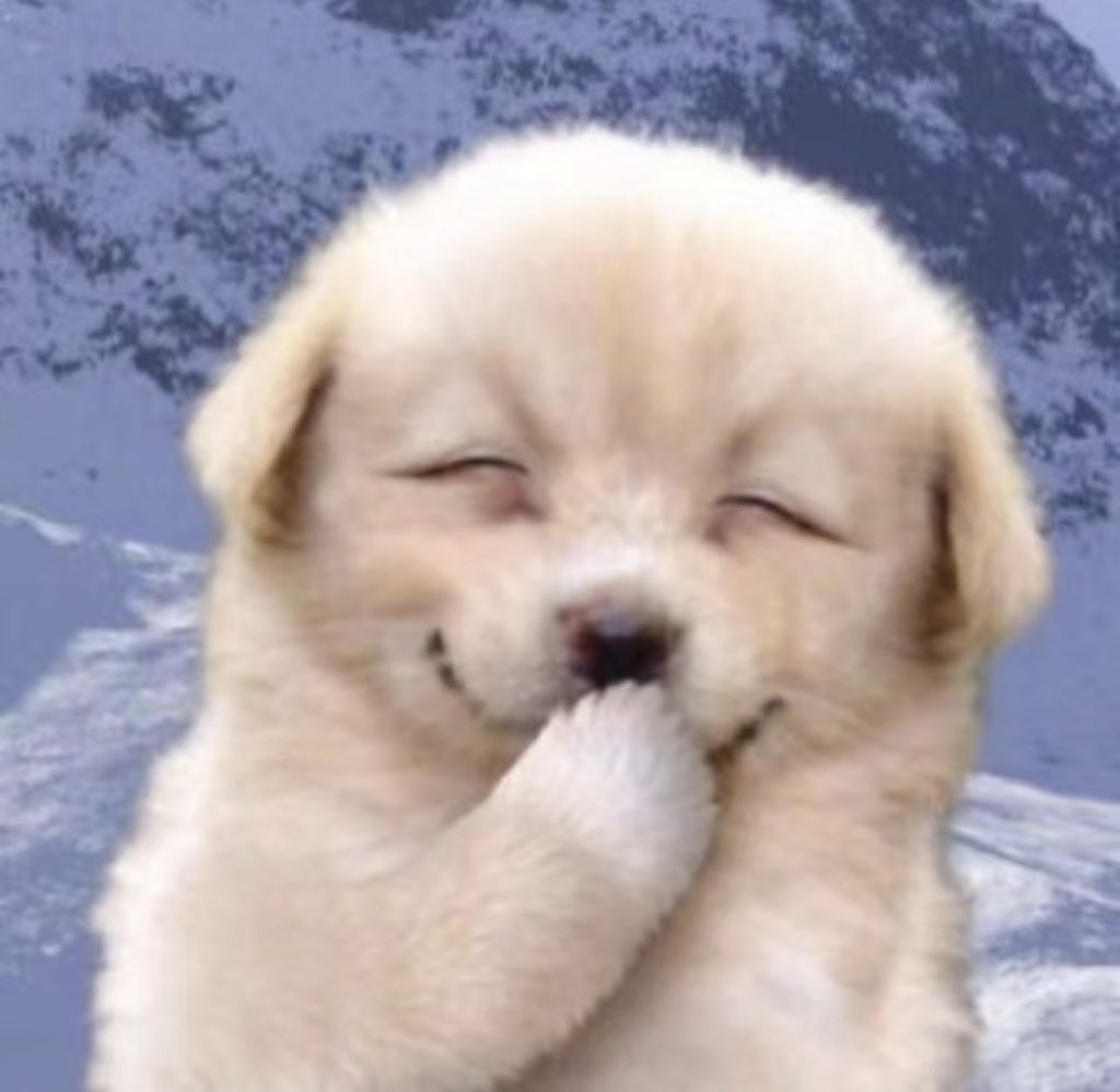 RIceCode tweet media