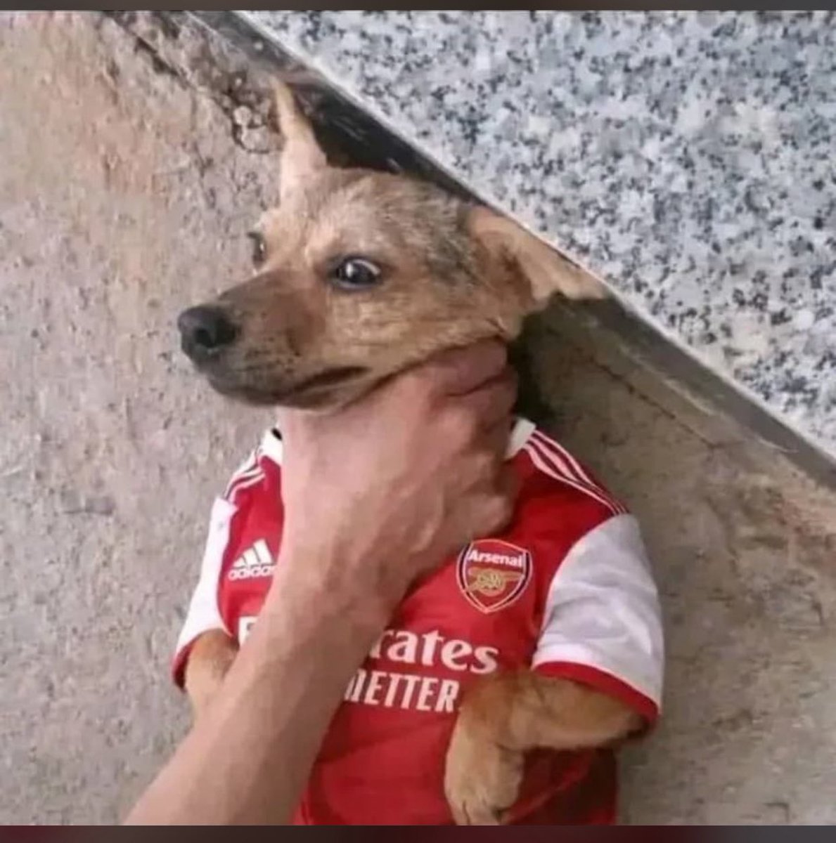 Victor Mavuti tweet media