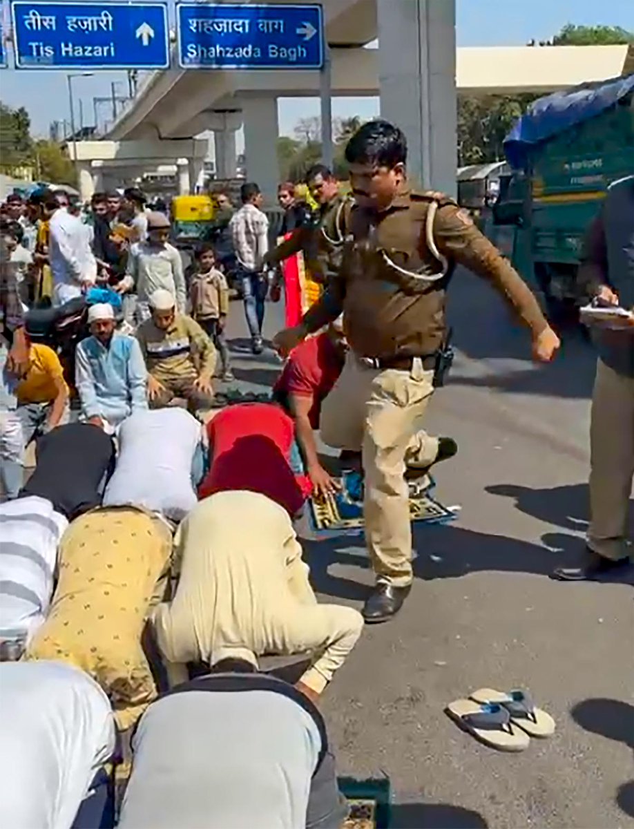 Prophet_Panchi tweet media