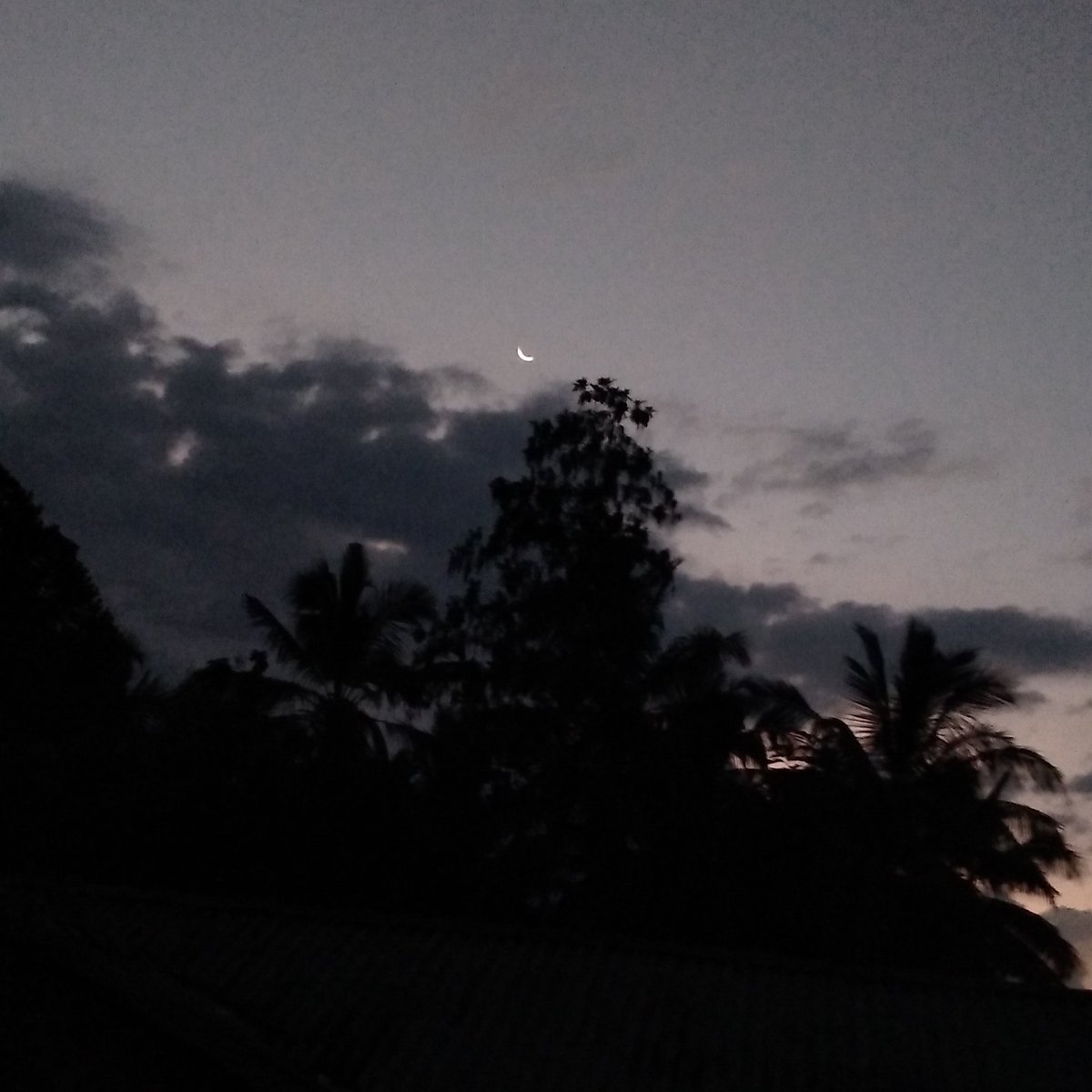 rizzle_bee's tweet photo. 📍mom's 🏡

I miss the old noise, the old mess, the old us.
Still come every year though.
Because even when the vibes have changed, stepping into this house is still what makes eid feel real... 🙃💝 https://t.co/k3q8ELPocv