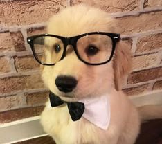 kgvrocks's tweet photo. feliz dia superman!!!

(e clark kent também) https://t.co/6CbyN7rNij
