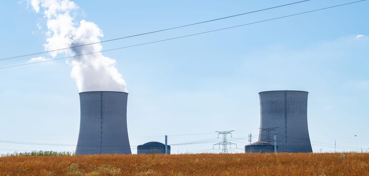 Little Think Tank tweet media