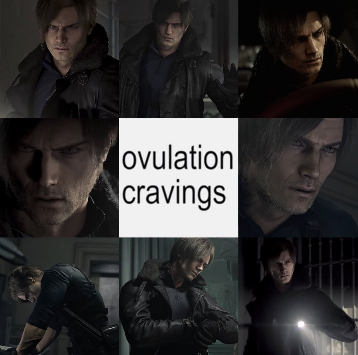 Z ★ leon pilled 🪭 tweet media