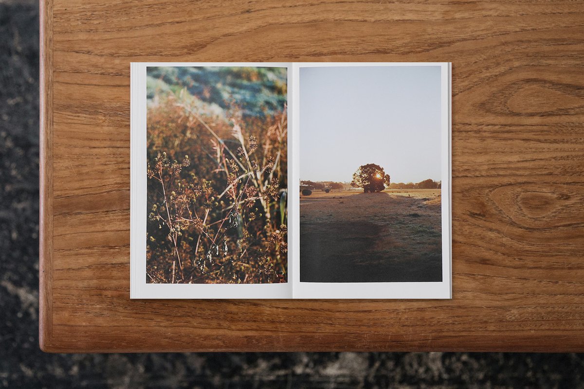 BOOK AND SONS tweet media