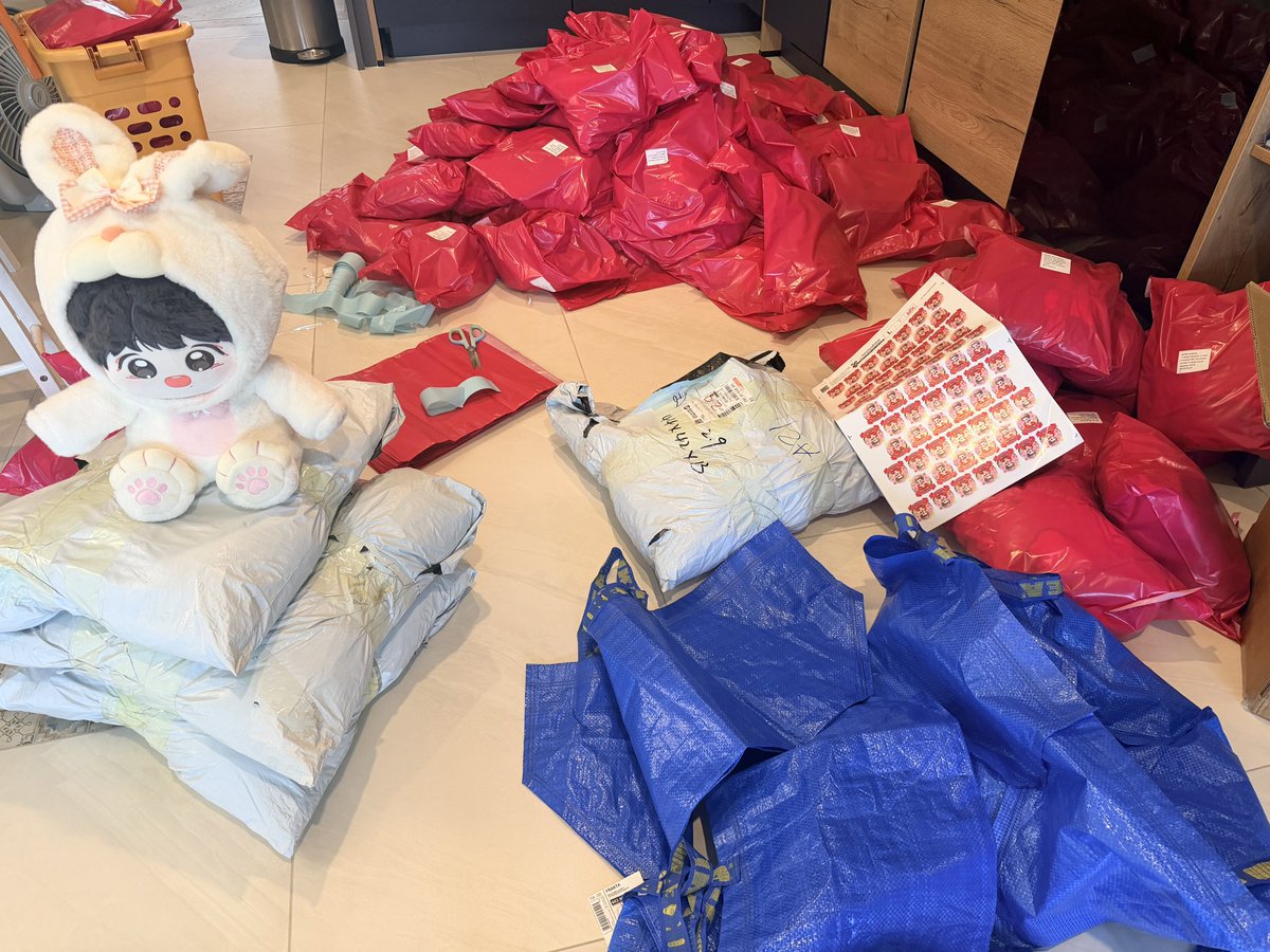 Aor 🐰🦁 tweet media