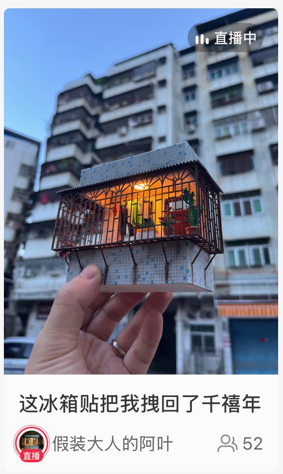 Coma Magnolia tweet media