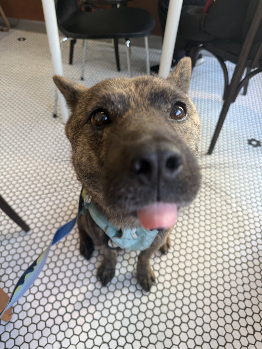 새콤이 tweet media