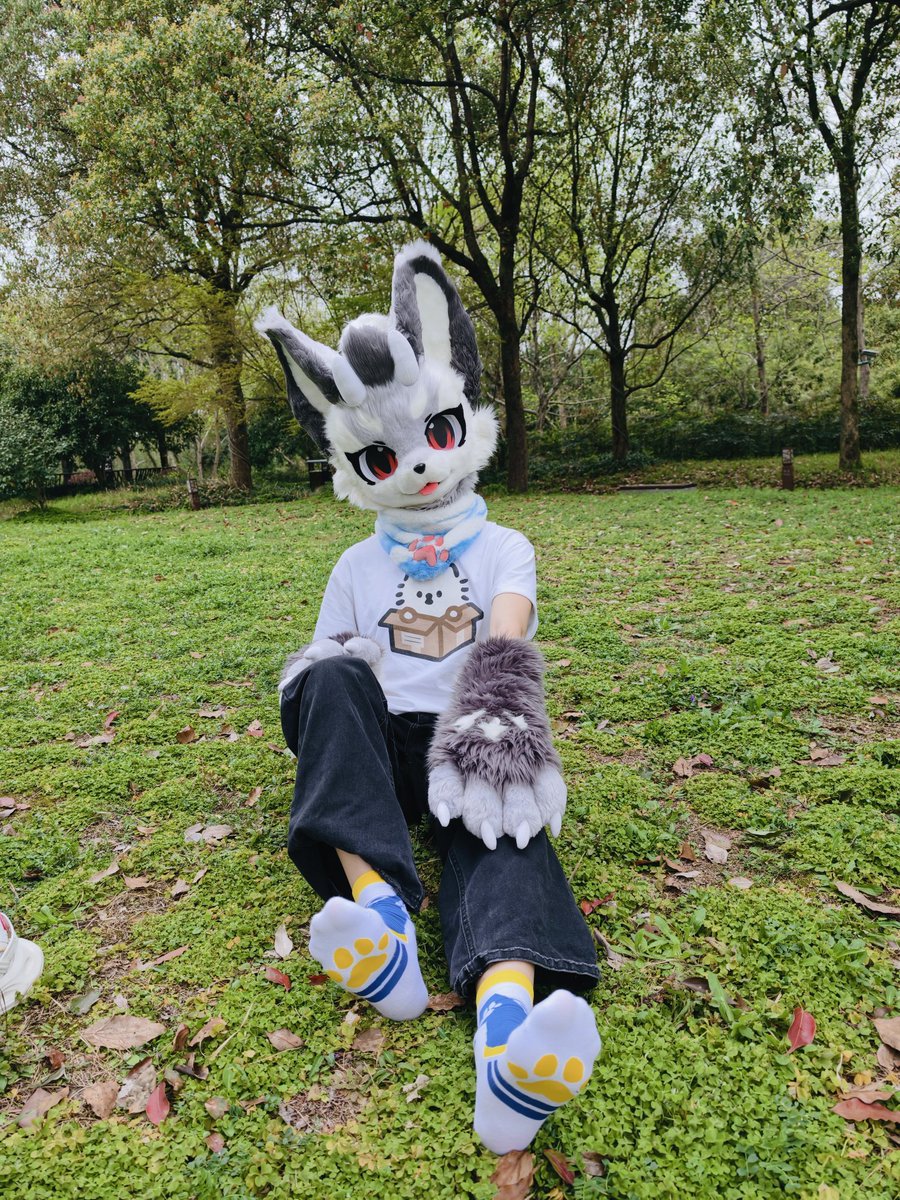 龙佑天 tweet media