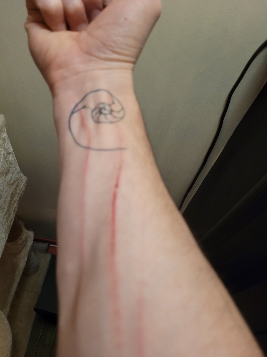 Septimus Brown tweet media