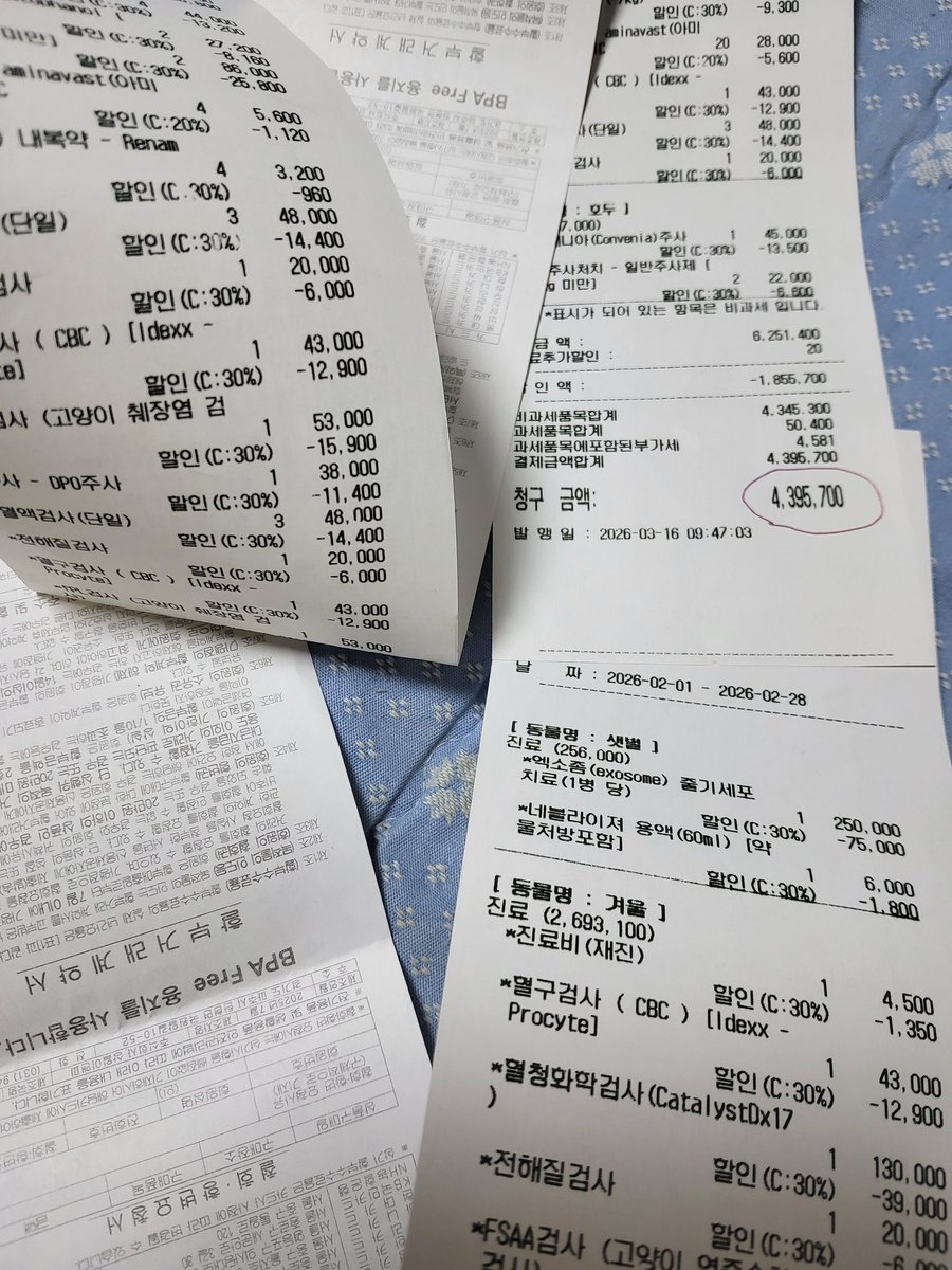 하늘쉼터 tweet media