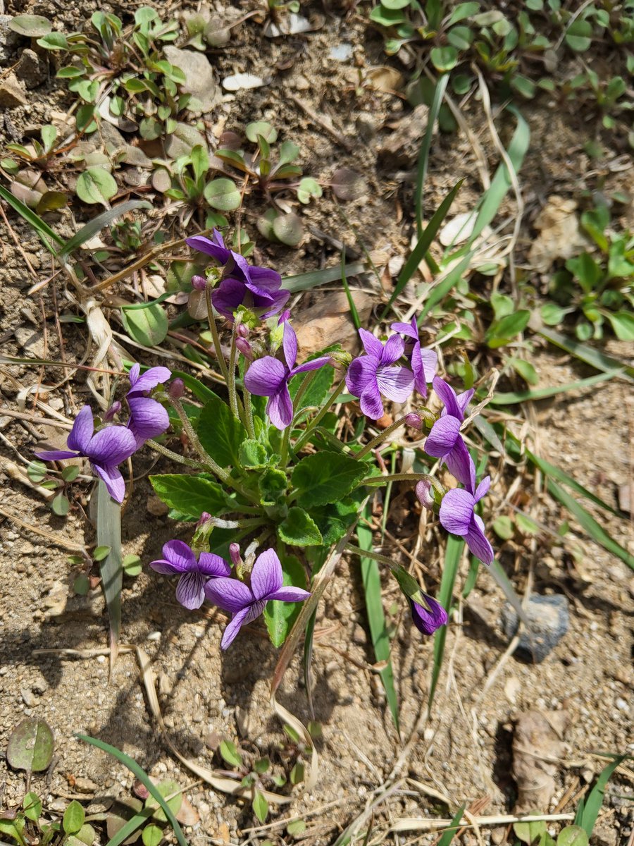 하늘쉼터 tweet media