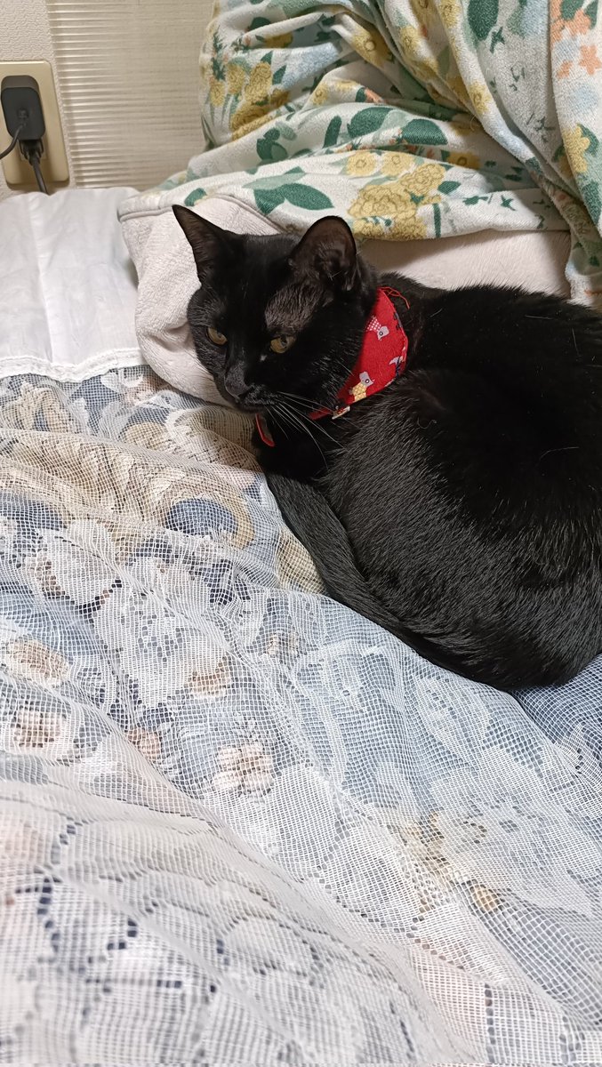 たくす tweet media