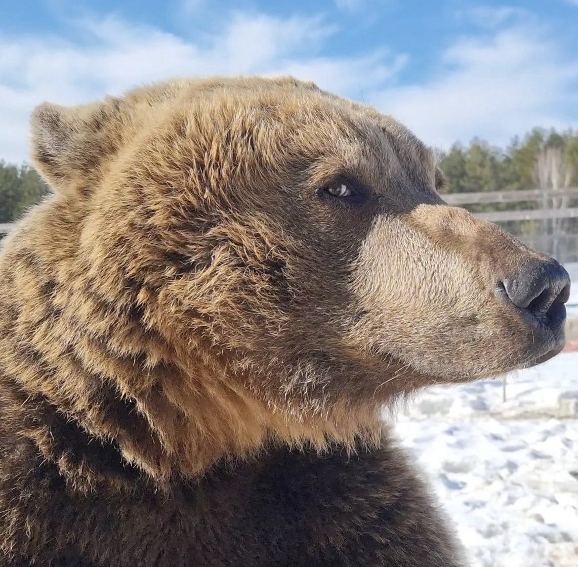 BearyDales tweet media