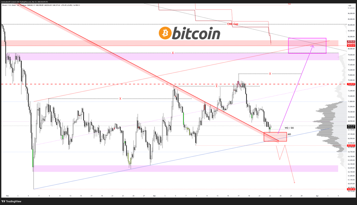 AlphaBTC tweet media