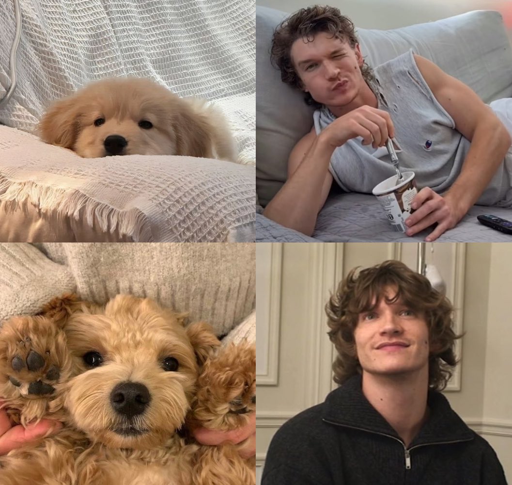 joy⋆.˚✮ tweet media