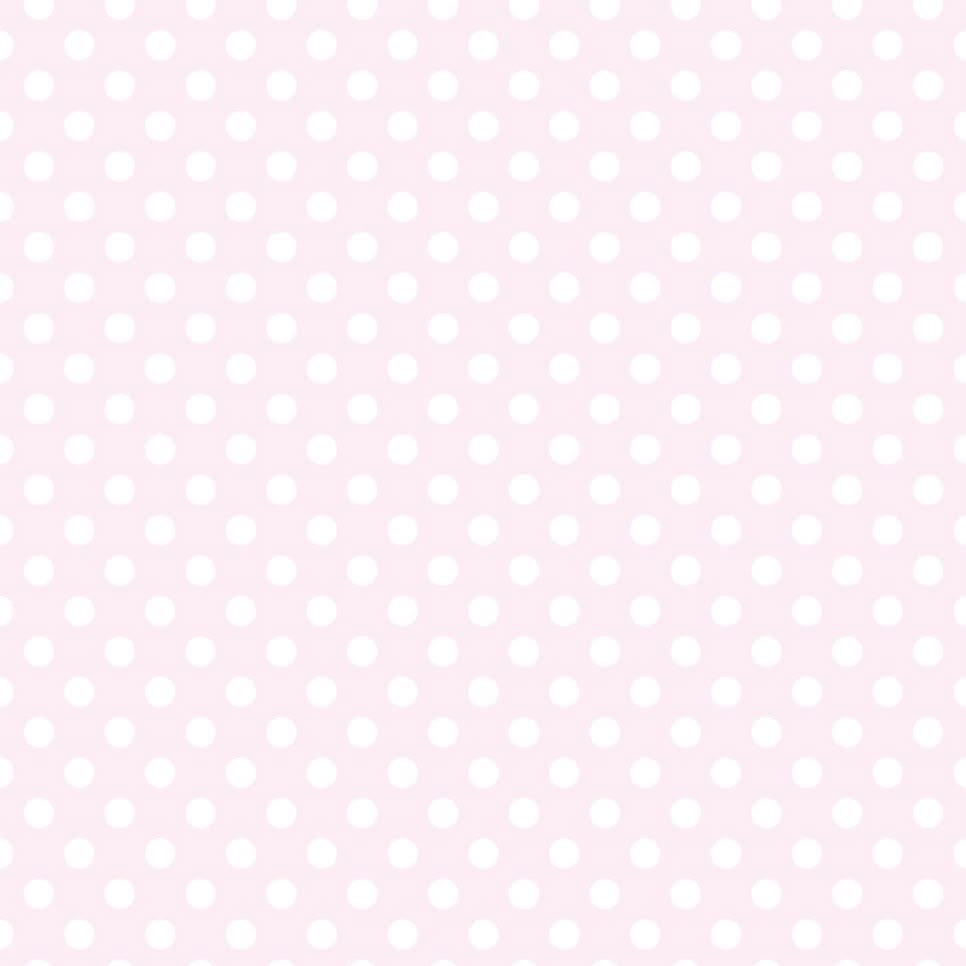 ‎ꫂ᭪ miwako of edtwt 2/15kg tweet media