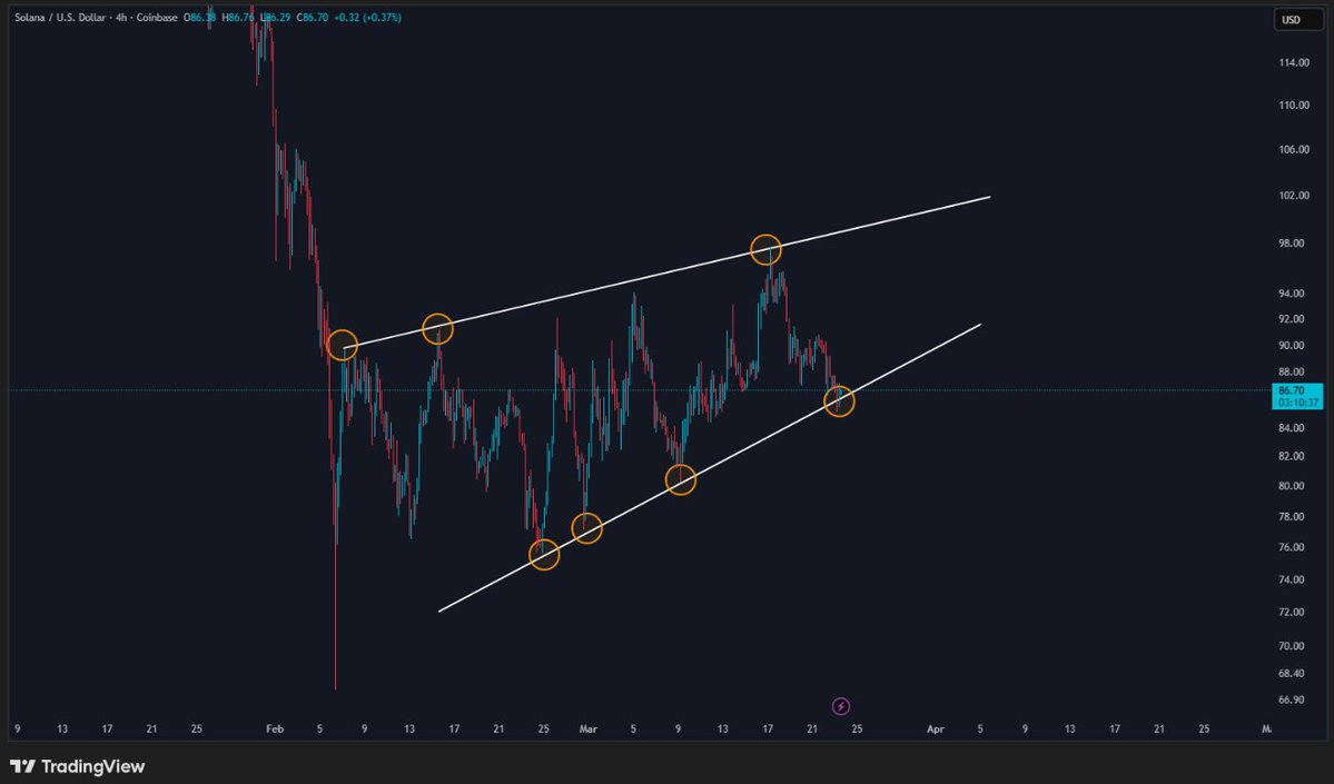 CryptoBusy tweet media