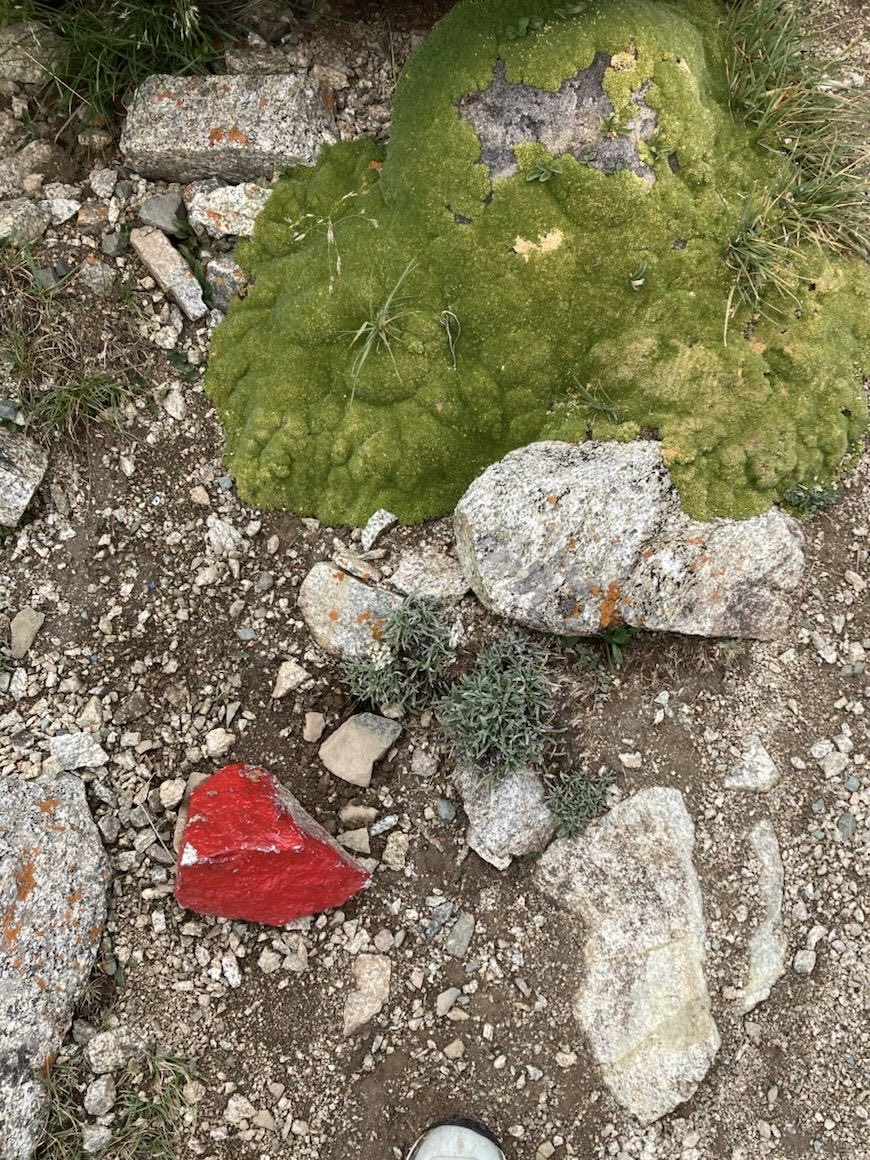 Maksim Subota tweet media