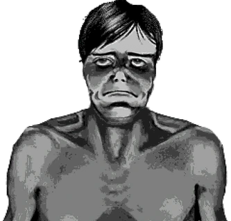 alex 🍎 ♂ | 🍉 tweet media