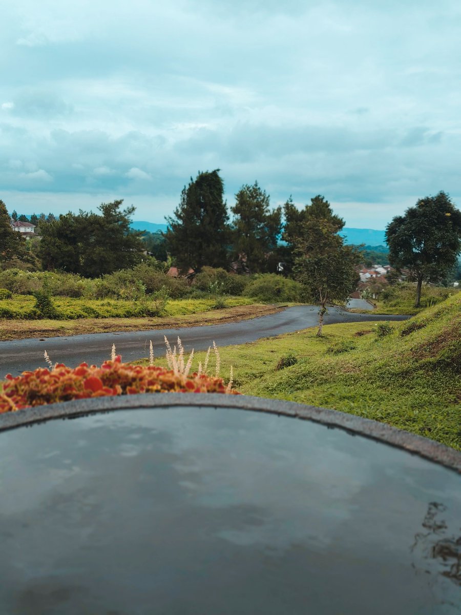 justNuri 🇵🇸 tweet media