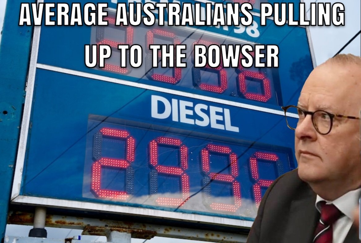 Lizardperson88's tweet photo. @r3tarddownunder https://t.co/5lvt3Opy0Y